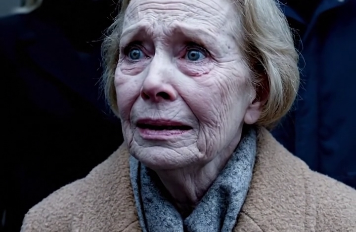 My daughter-in-law changed the door locks without telling me, I was left outside in the cold for two hours, and when she came back she looked at me with contempt and said, “You’re just an outsider—do you really think you belong here?”, I didn’t argue, I just smiled, packed my bags, and left, and seven days later the court ordered the house seized… and they stood there frozen in shock, speechless.