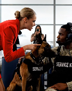 ”Viekää se koira pois täältä – tämä on luksusoleskelutila, ei koiratarha!” Hänen purkauksensa tyrmistyttää huoneen – hän ei tiedä loukkaavansa palkittua sotilaskoiraa, jonka tehtävä on muuttaa kaiken