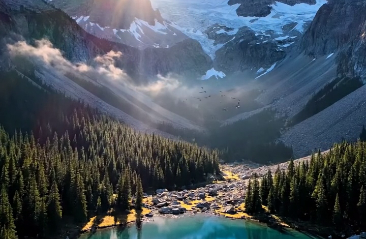Hij kwam binnen, bloedend, brullend en twintig dokters weigerend
