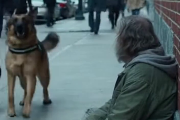 De politiehond bleef maar blaffen tegen een dakloze man in een drukke straat in Chicago – ‘Beheers je K9 of ga verder’, klaagde iemand, maar op het moment dat de riem uitgleed en de hond naar hem toe rende, was wat er daarna gebeurde, iedereen bevroren in stilte