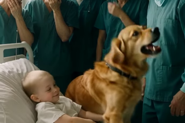 Een jongen nam afscheid van zijn hond vóór een operatie toen de hond plotseling een dokter aanviel – wat ze vervolgens ontdekten verklaarde alles.